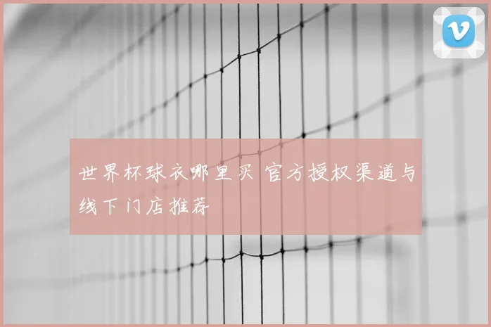 世界杯球衣哪里买 官方授权渠道与线下门店推荐